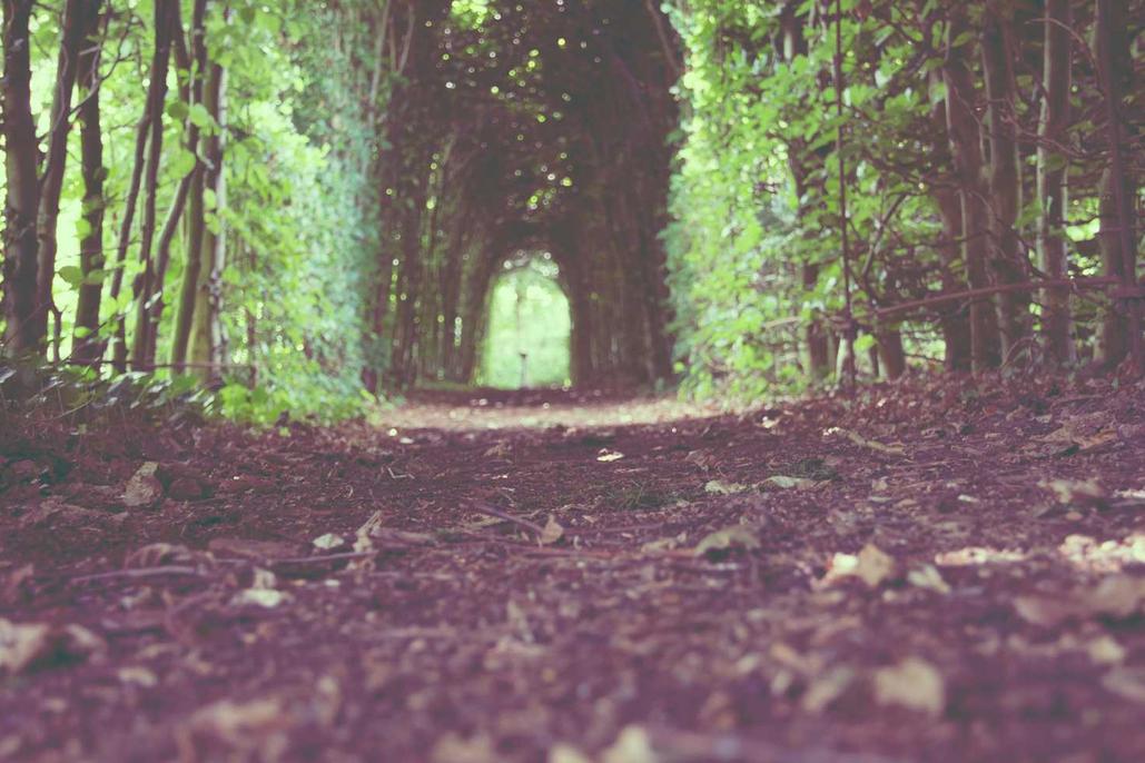 Placeat quibusdam consequatur qui incidunt ut nihil tempore perferendis